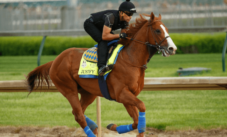 The Science Behind Horse Racing Performance