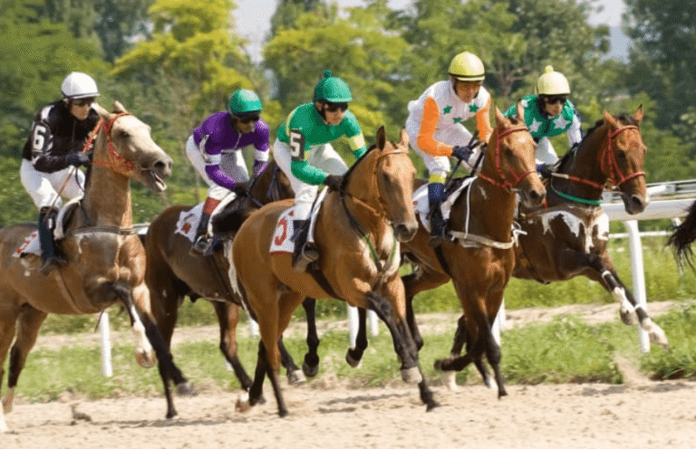 The Science Behind Horse Racing Speed
