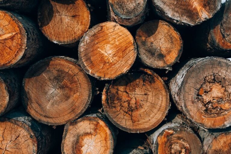digital keyword classification log identifiers multilingual entries